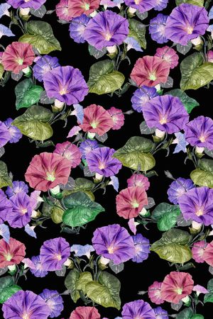 牵牛花印花华亿平台图片