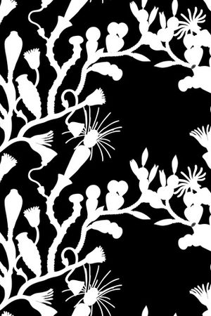 不定位丝巾女装家纺印花华亿平台图片