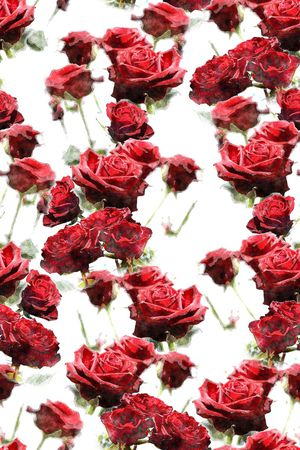 玫瑰花印花华亿平台图片