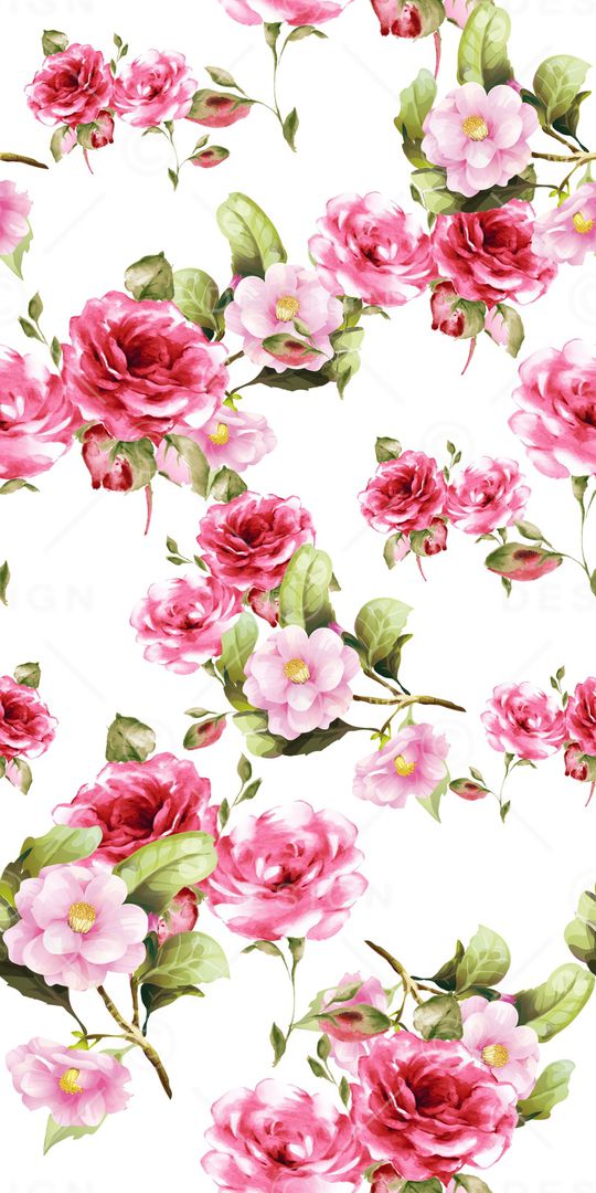 purity华亿平台carry1印花华亿平台图片