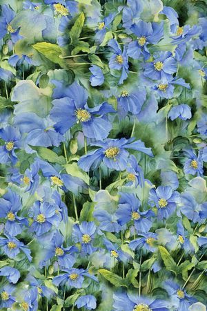 花朵印花华亿平台图片