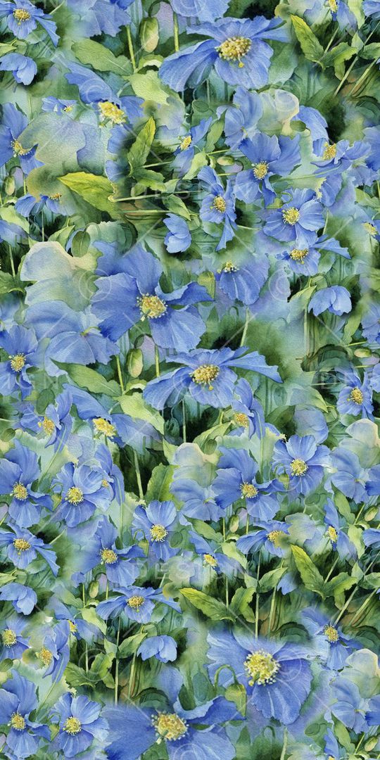 花朵印花华亿平台图片