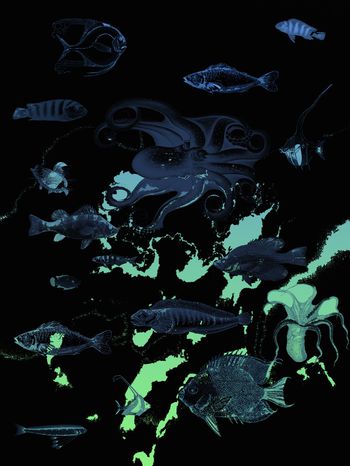 衬衫印花华亿平台图片