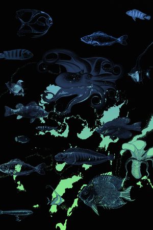 衬衫印花华亿平台图片