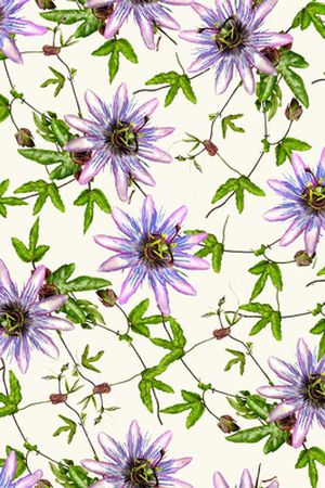 时尚印花华亿平台图片