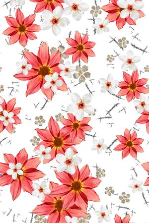 女装-四方连续-上半年印花华亿平台图片