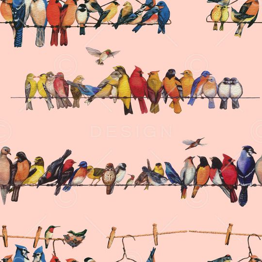 百鸟图印花华亿平台图片