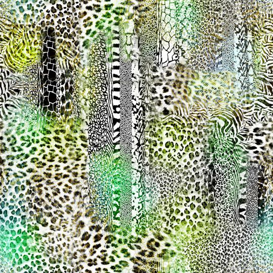 斑马印花华亿平台图片