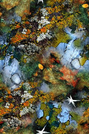 抽象印花华亿平台图片