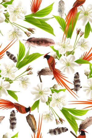 羽毛印花华亿平台图片