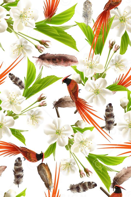 羽毛印花华亿平台图片