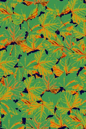 肌理印花华亿平台图片