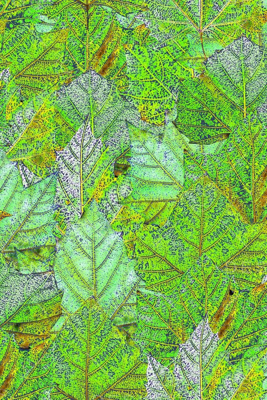 肌理印花华亿平台图片