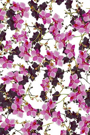 数码花卉类印花华亿平台图片