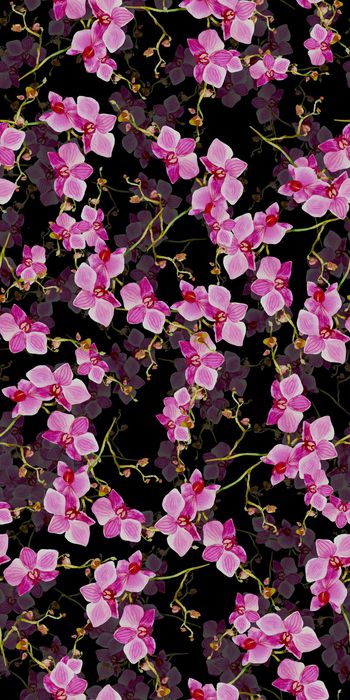 744970-20161120-40S-1