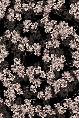 黑白印花华亿平台图片