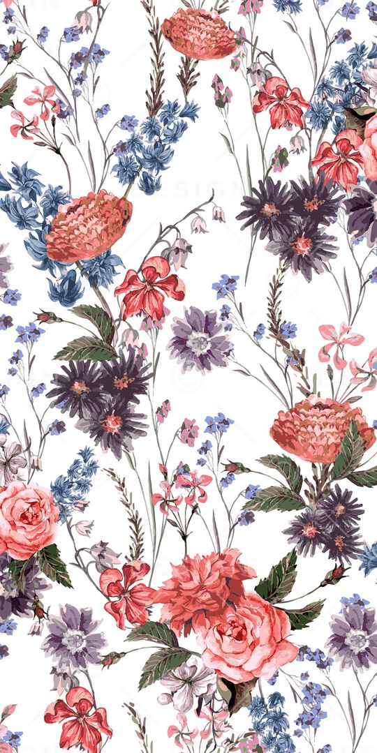 玫瑰印花华亿平台图片