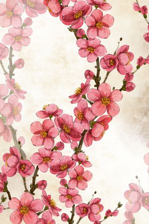 优雅印花华亿平台图片