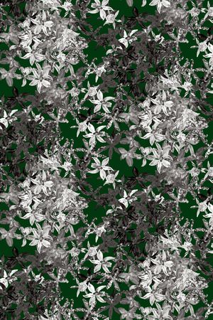 花瓣印花华亿平台图片