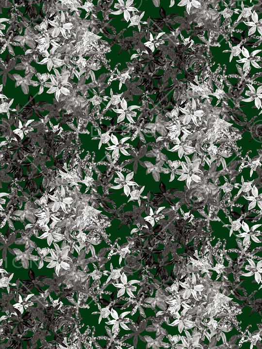 花瓣印花华亿平台图片