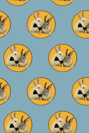 动物印花华亿平台图片