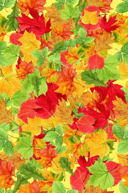 家纺印花华亿平台图片