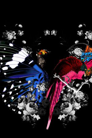 玫瑰印花华亿平台图片