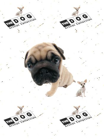 狗印花华亿平台图片