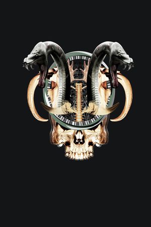 几何印花华亿平台图片