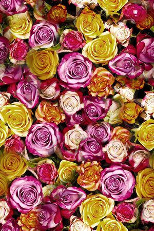 满版花卉印花华亿平台图片