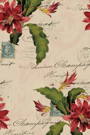 数码花卉类印花华亿平台图片