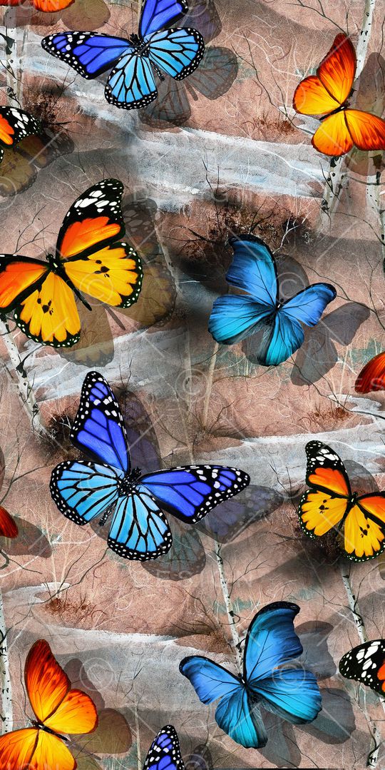 昆虫印花华亿平台图片