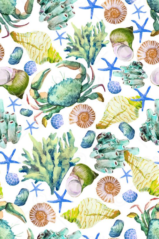 贝壳印花华亿平台图片