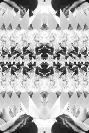 黑白印花华亿平台图片