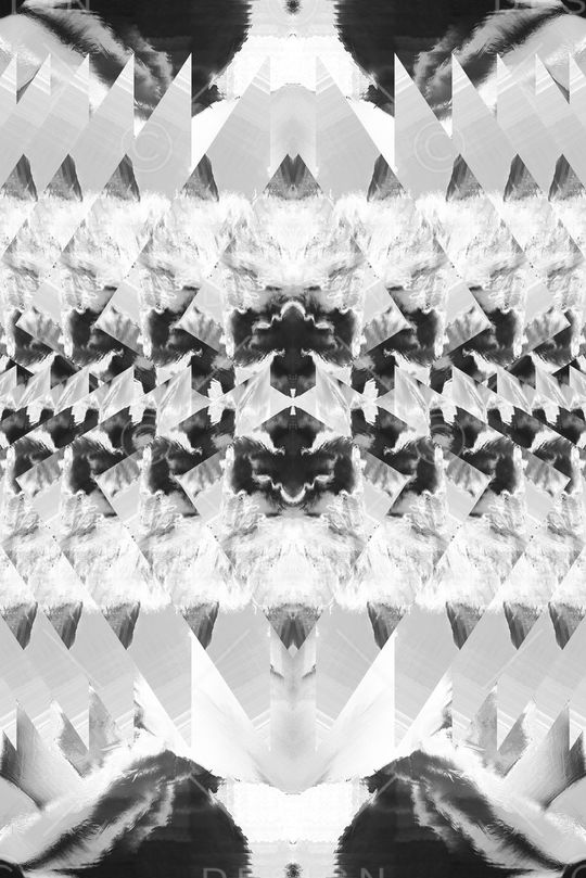 黑白印花华亿平台图片