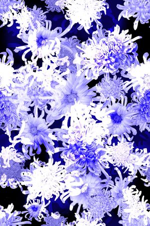 女装印花华亿平台图片