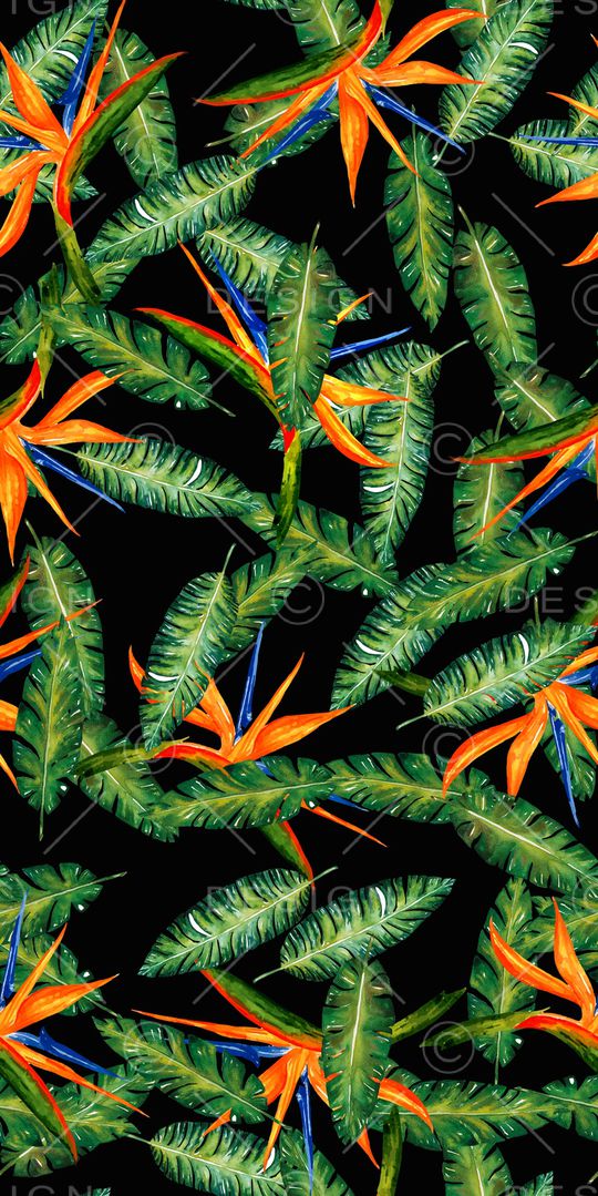 数码花卉类印花华亿平台图片