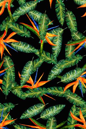 数码花卉类印花华亿平台图片