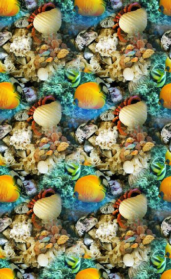 746639-夏季热带海洋世界时尚女装.