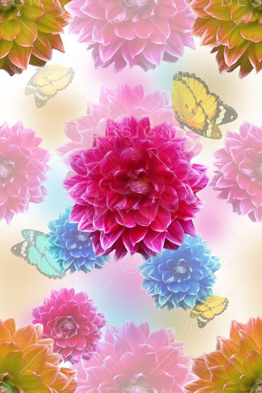 蝴蝶印花华亿平台图片