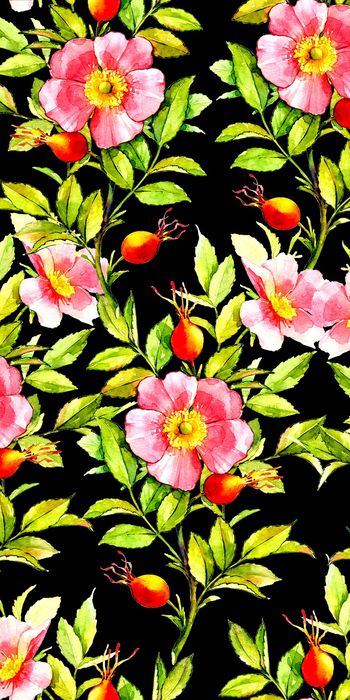 747167-20161123-53S-1