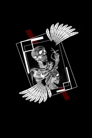 黑白印花华亿平台图片