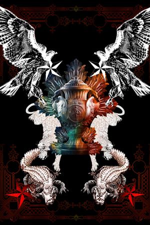 老鹰印花华亿平台图片