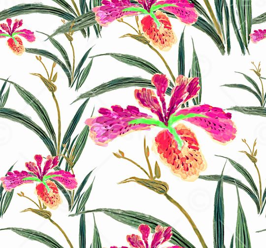 大花印花华亿平台图片