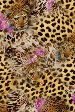 豹纹印花华亿平台图片