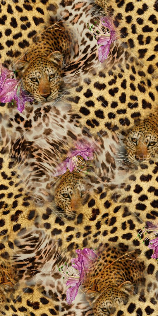 豹纹印花华亿平台图片