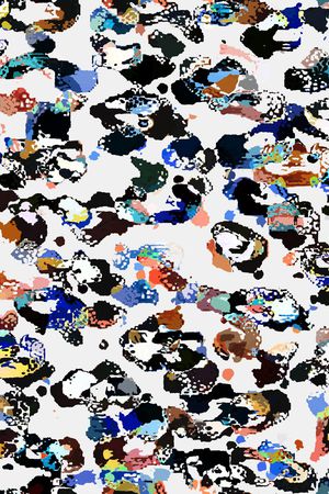 豹纹印花华亿平台图片