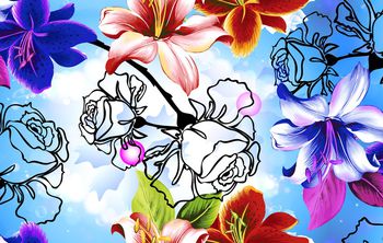 时尚女装印花华亿平台图片