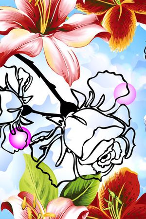 时尚女装印花华亿平台图片