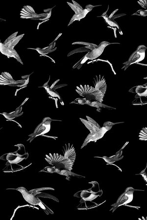 黑白印花华亿平台图片